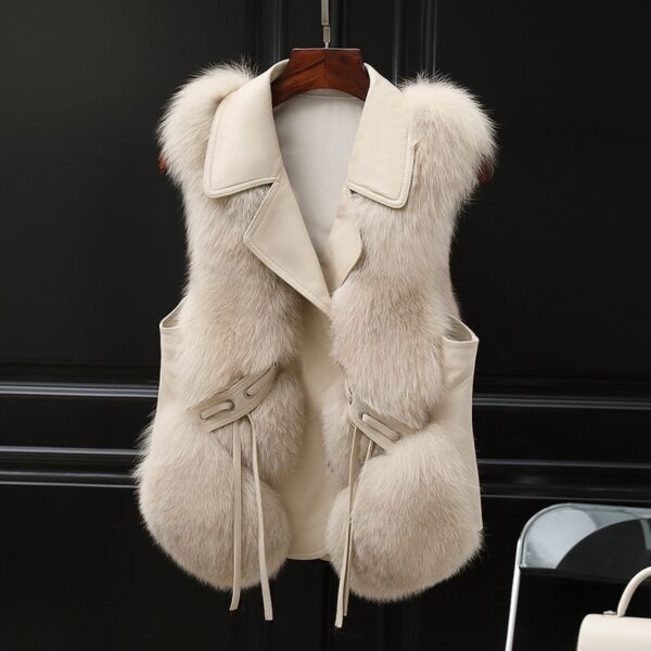 Fur Vest Short Coat Autumn And Winter New Patchwork Winter Fox Fur Jacket Women Short Artificial Fur Coat Elegant Female Warm Vest - Image 3