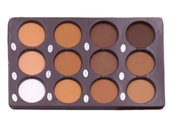 12 Color Makeup Repair Plate - Image 2